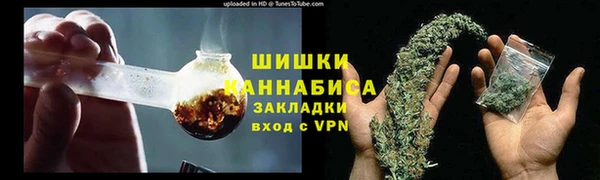 гашик Белоозёрский