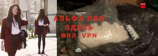 стафф Белокуриха