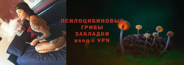 гашик Белоозёрский