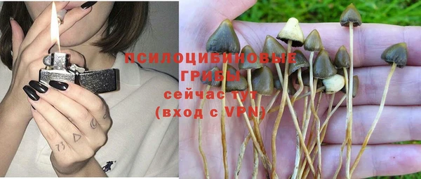 ECSTASY Беломорск