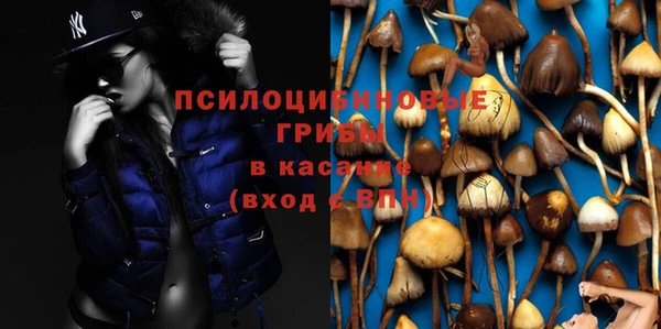 стафф Белокуриха