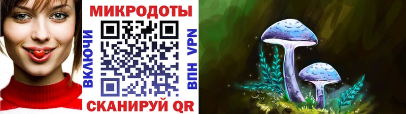 Псилоцибиновые грибы мицелий  где купить   Великие Луки 